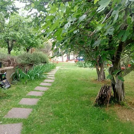 The Jasmine House