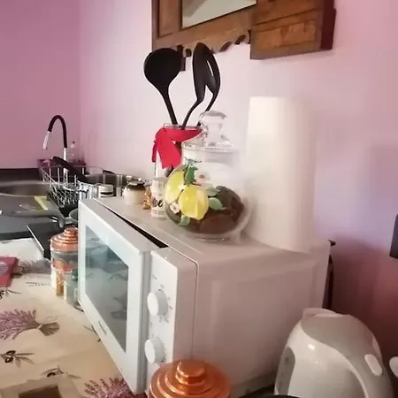 The Jasmine House *