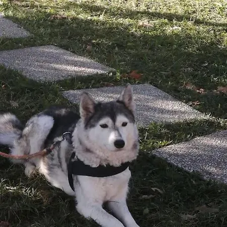 Апартаменты The Jasmine House *