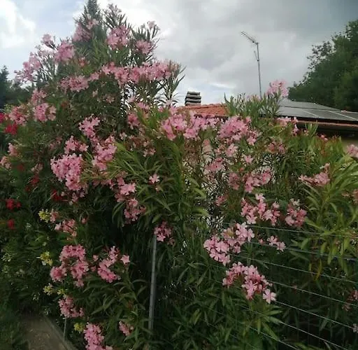 The Jasmine House Castel San Pietro Terme